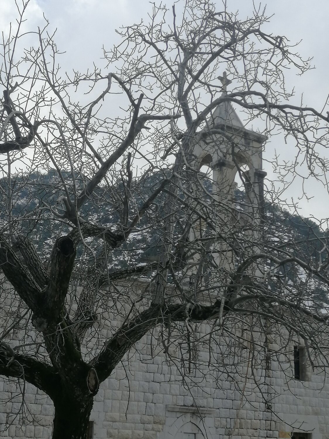 Photo #5819130