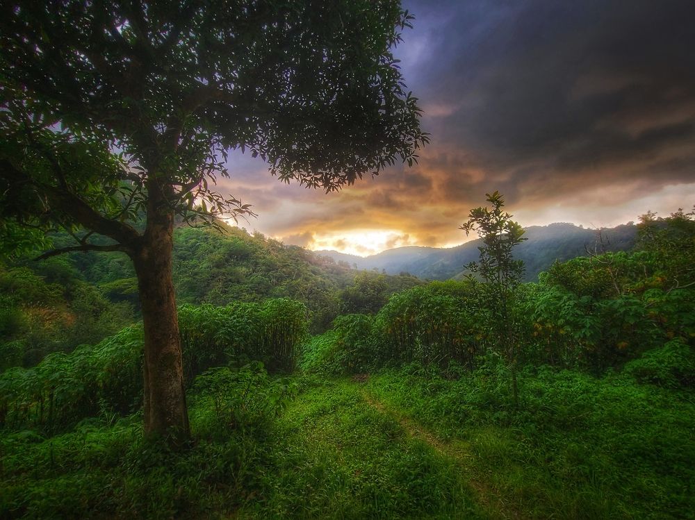 Photograph by Dane Ducayag