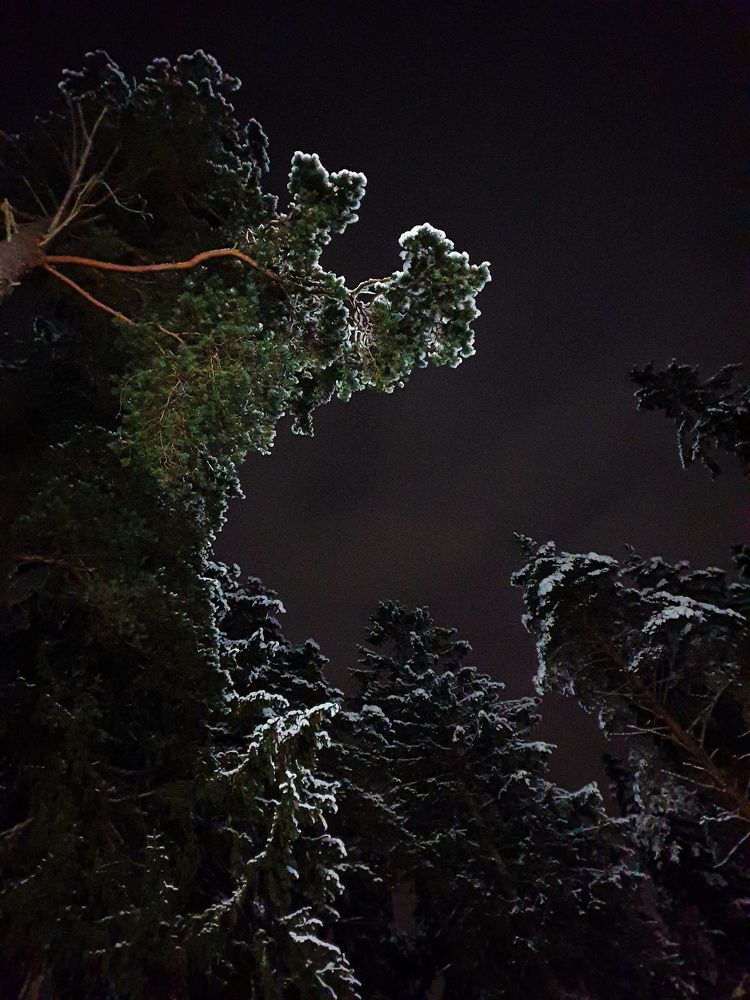 Photograph by Анна Мартемьянова