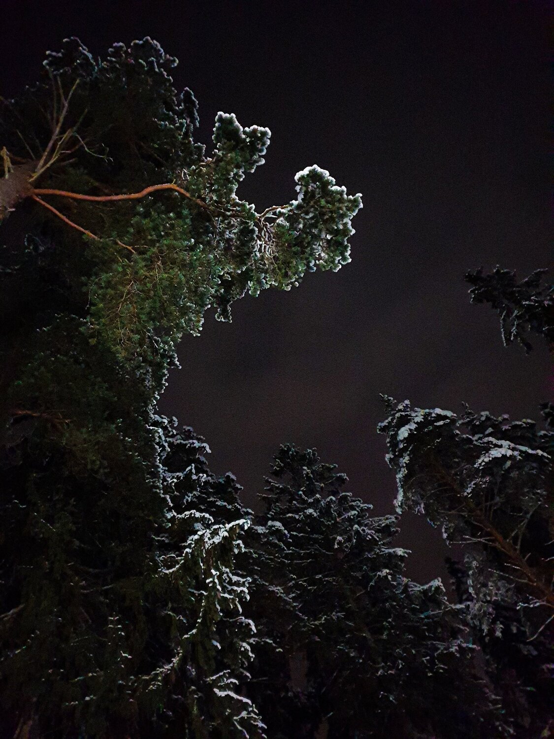 Photo #5819186