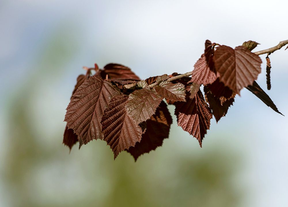 Photograph by Андрей Анатольевич Жуков