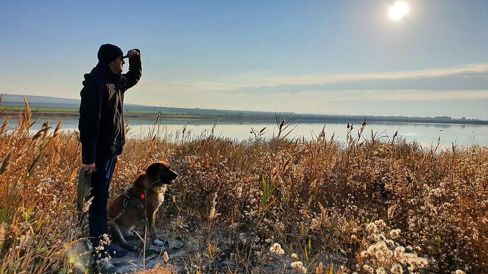 Photograph by Екатерина Маградзе