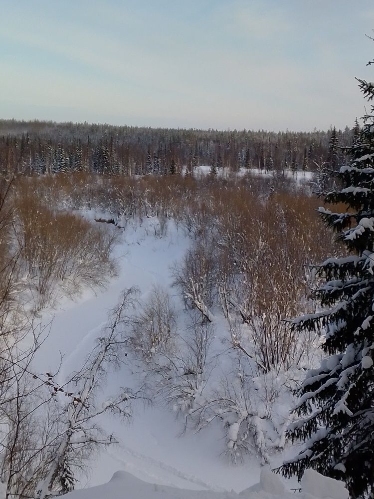 Photograph by Нина Гирнык