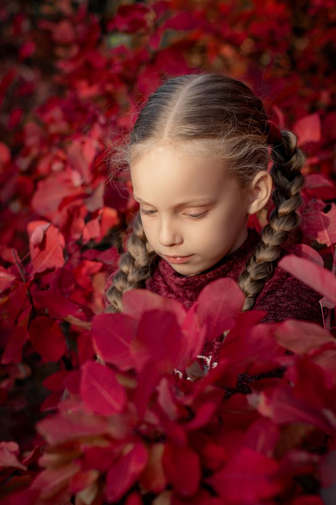 Photograph by Дарья