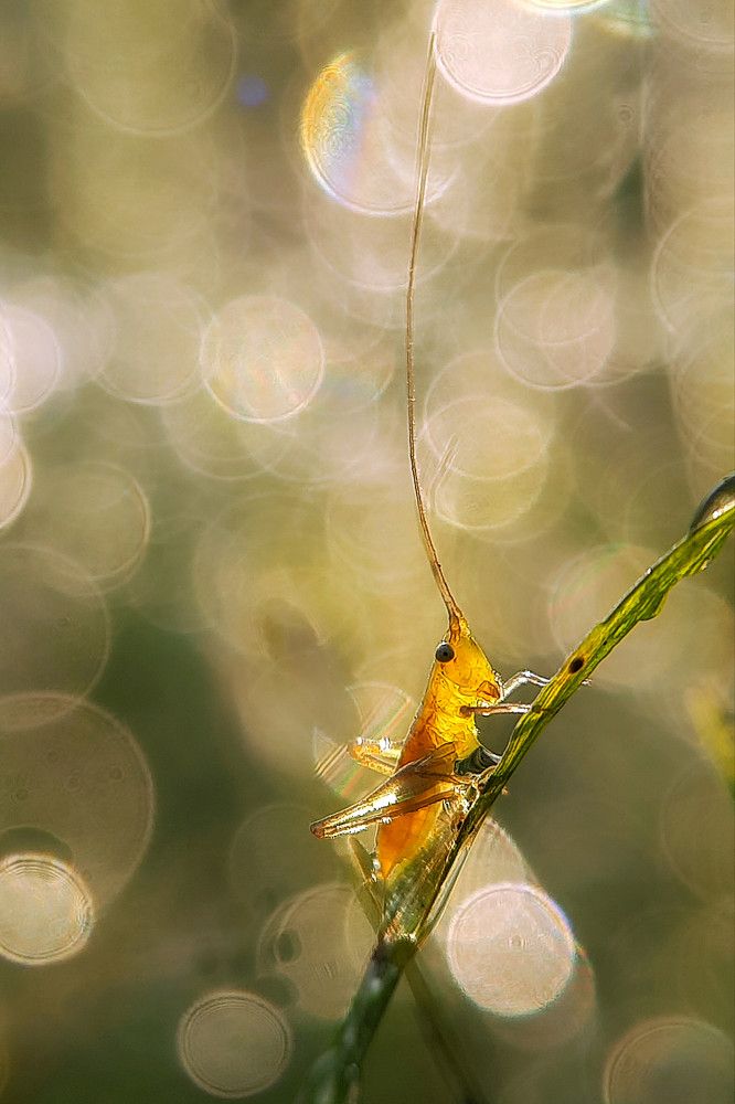 Photograph by Tushar Patel