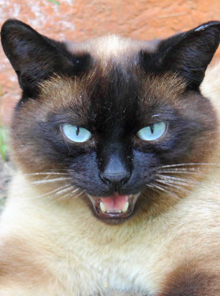 Photograph by Алёна Дегтярёва