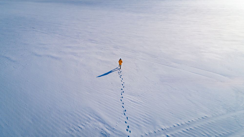 Photograph by Witkowski Jakub