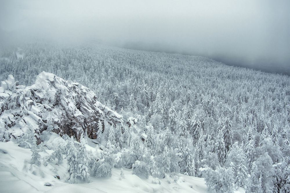 Photograph by Михаил Авдеев