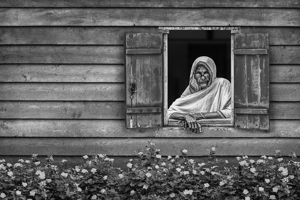 Granny at the Window
