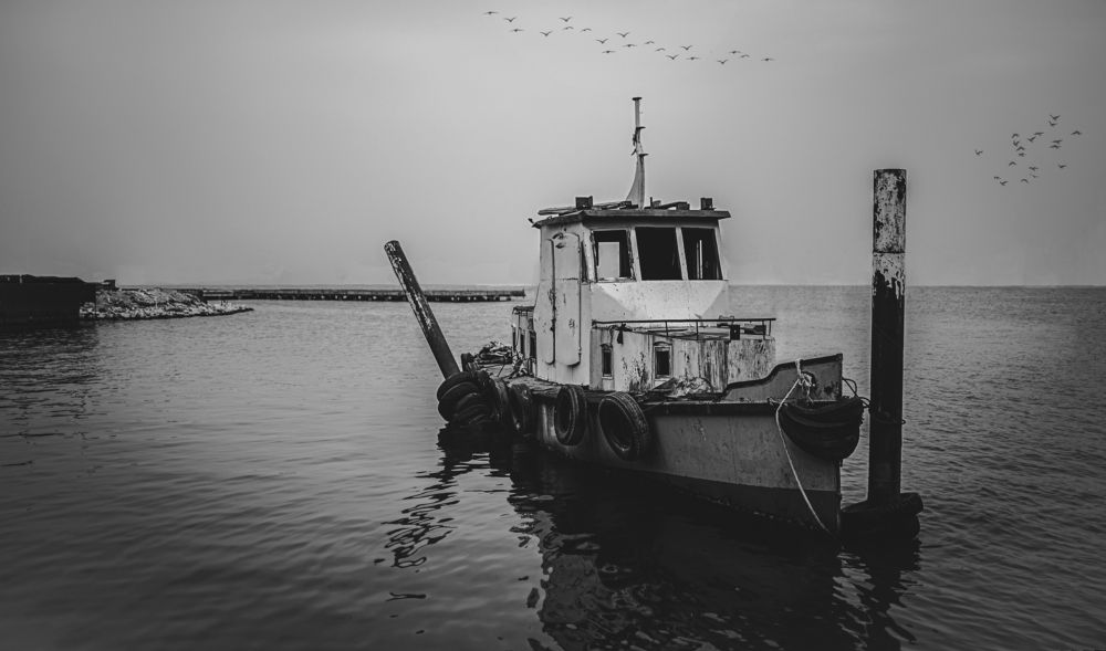 Photograph by Mohammad Al_saady