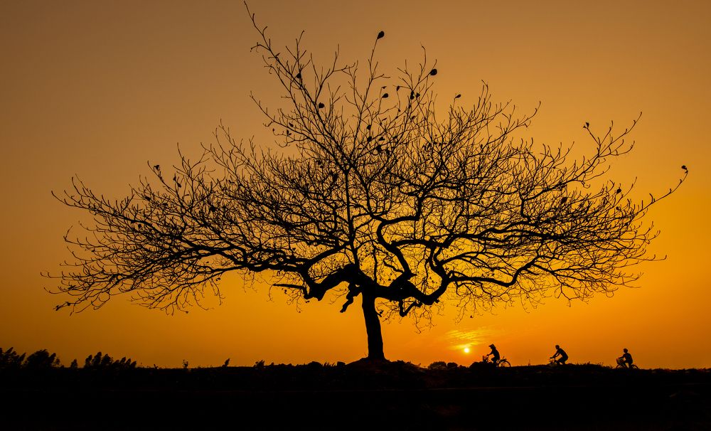 Photograph by Dương Nguyễn