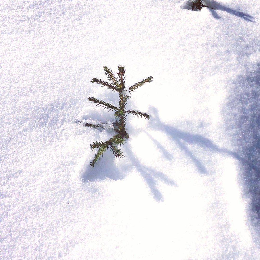 Жизнь от и до.