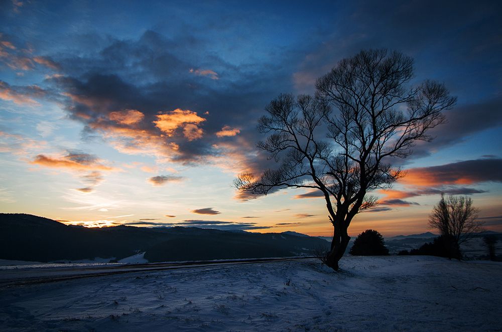 Photograph by Lubica Kremenova