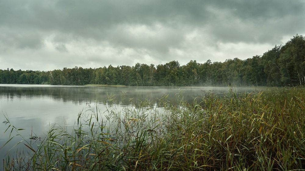 Женское озеро после дождя