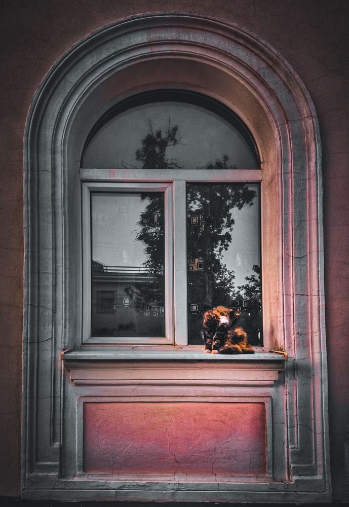 Photograph by Дмитрий Гришкевич