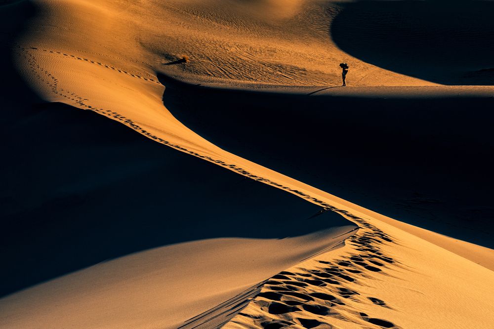 Photograph by Hamed Qane