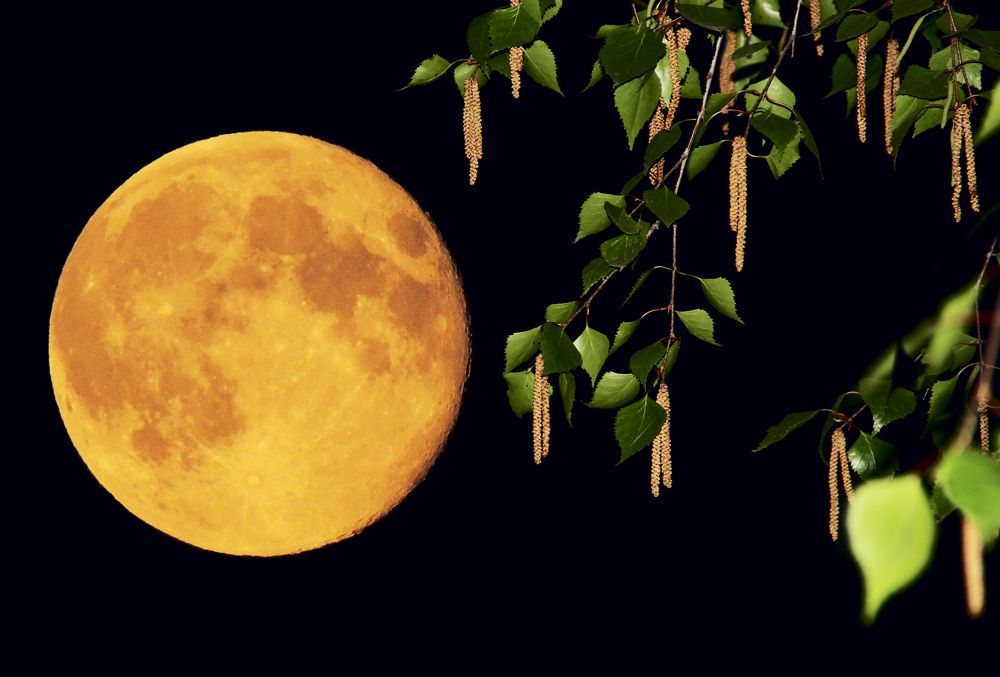 Full Moon (Полнолуние)