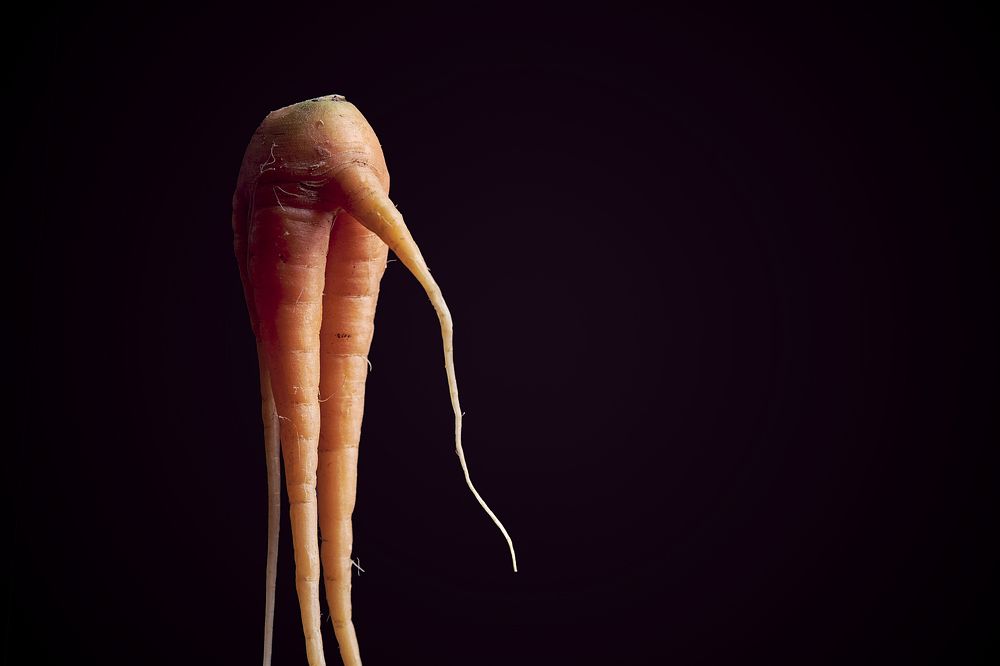 Photograph by Алексей Карабухин