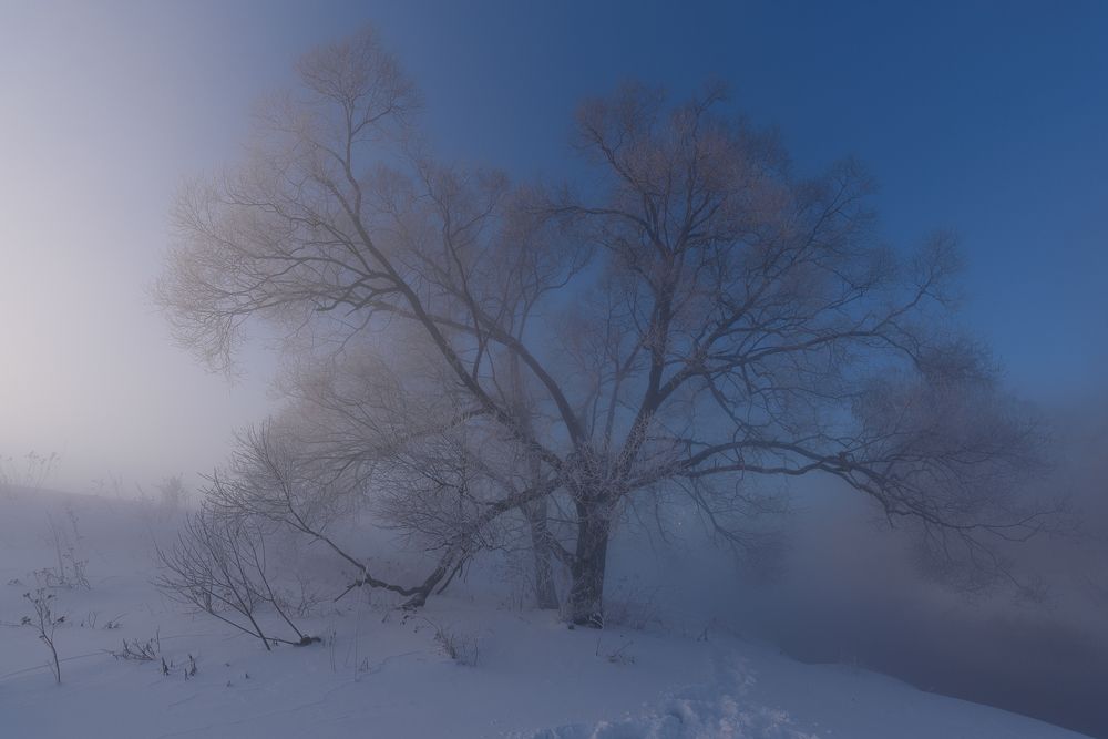 Photograph by Света и Вася