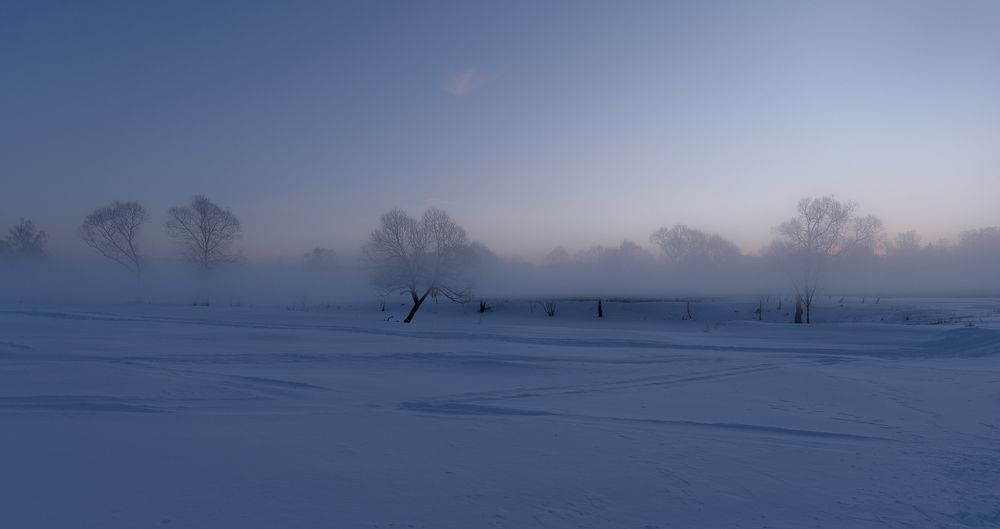 Photograph by Света и Вася