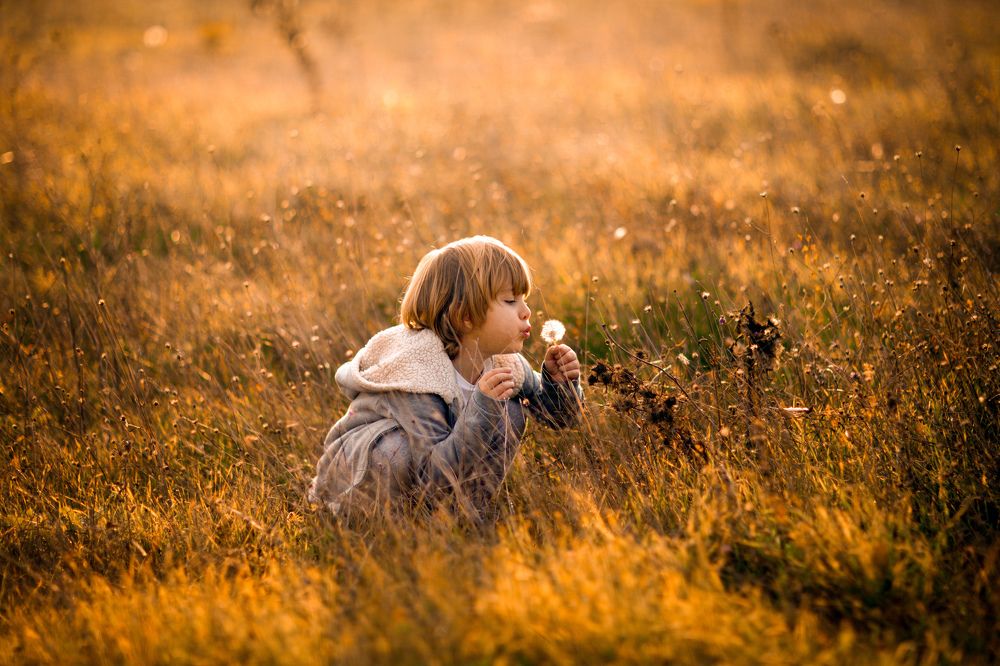 Photograph by Наталья Жданова