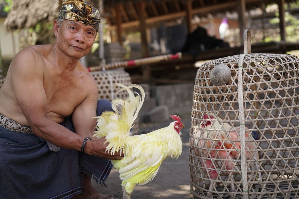 Photograph by Arik S Mintorogo