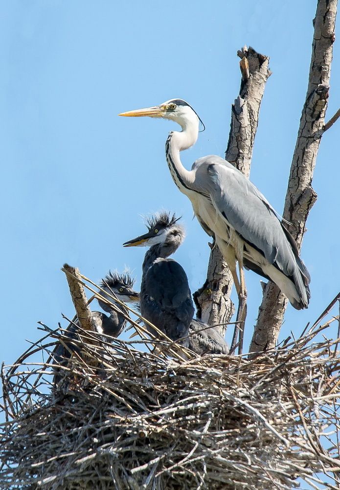 Фотография автора Александр Шохин