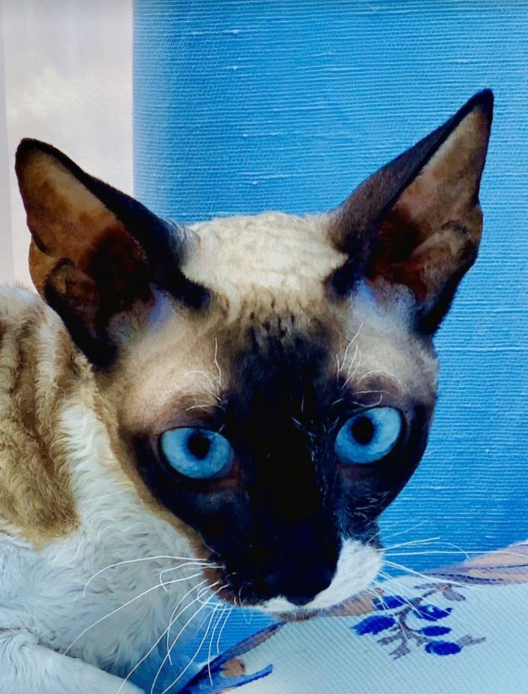 Photograph by Роман