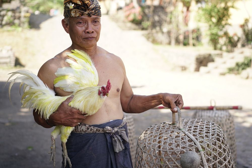 Photograph by Arik S Mintorogo