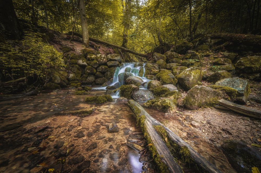 Photograph by Антон Малыгин