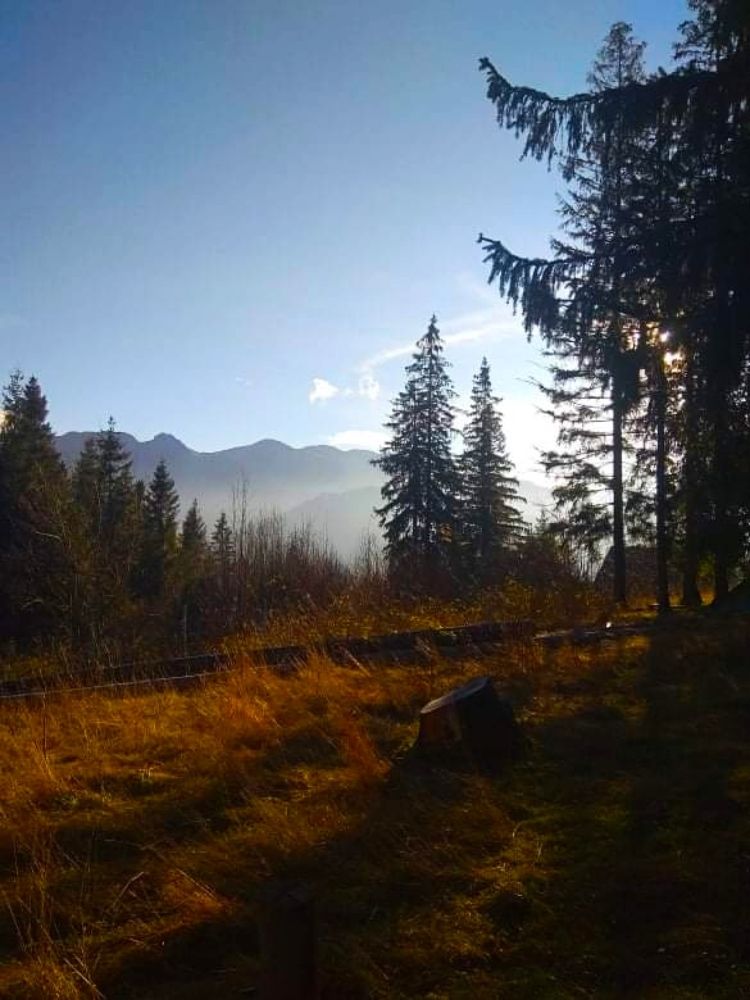 Photograph by Олександр