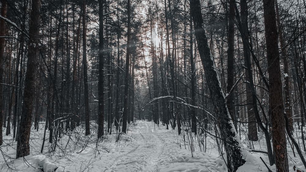 Photograph by Артём Бочкарёв