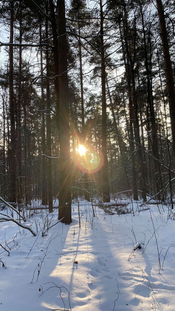 Photograph by Артём Бочкарёв