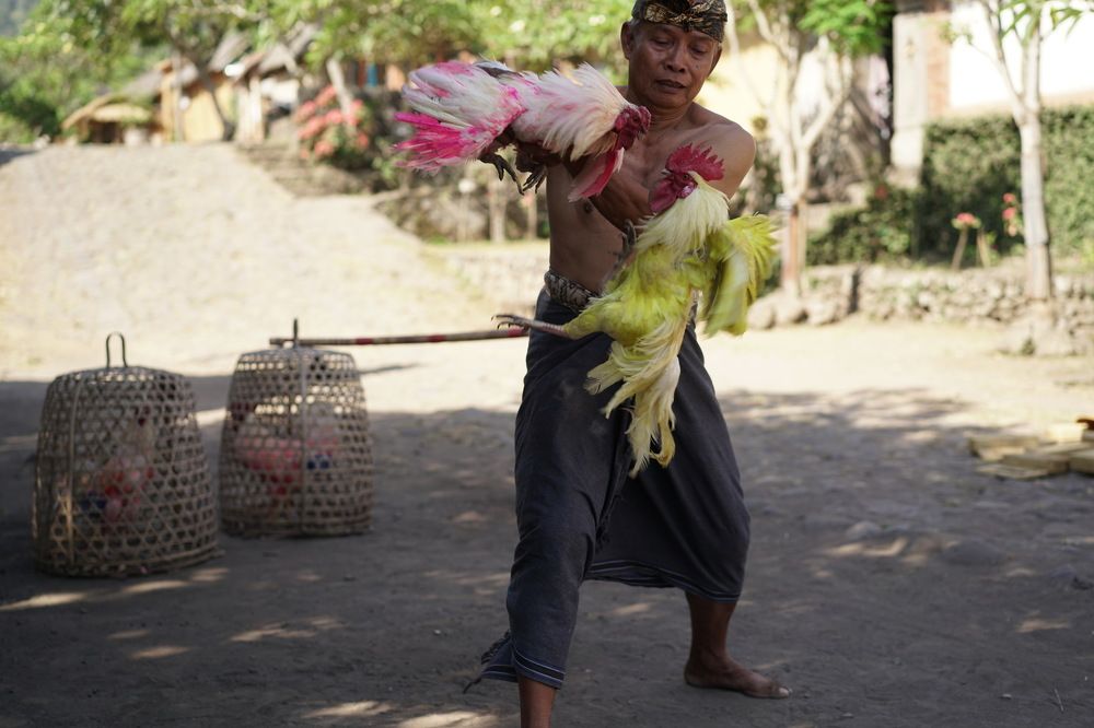 Photograph by Arik S Mintorogo