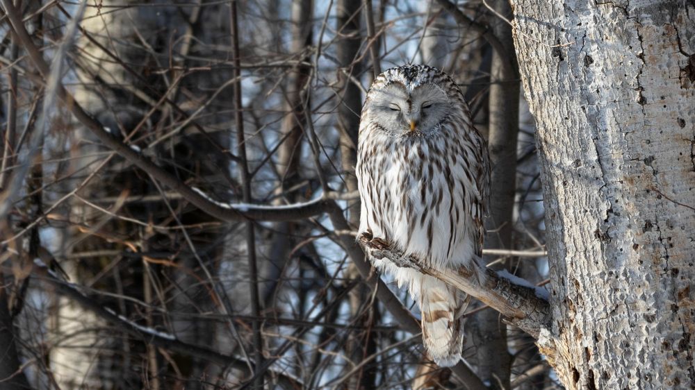 Photograph by crashfil