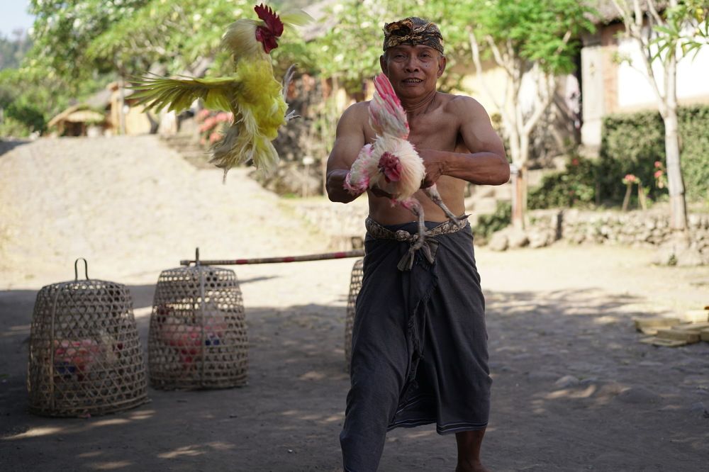 Photograph by Arik S Mintorogo