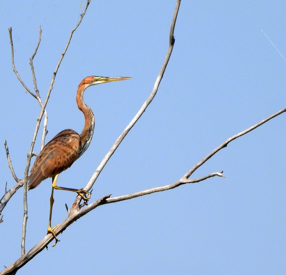 Само изящество!