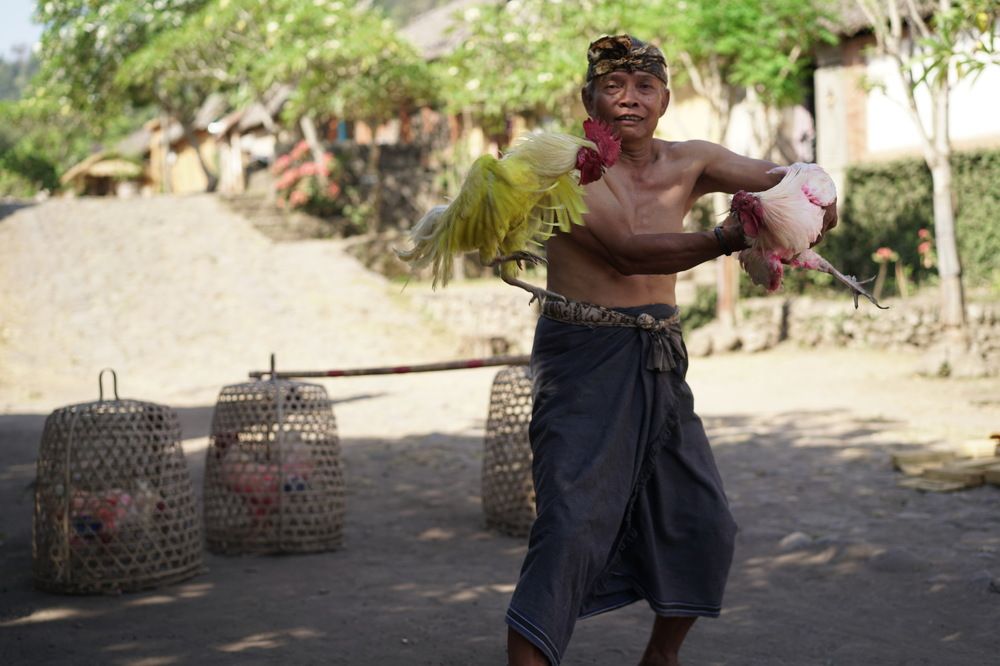 Photograph by Arik S Mintorogo