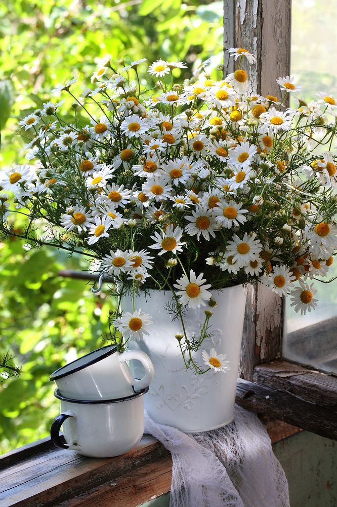 Photograph by Марина Володько