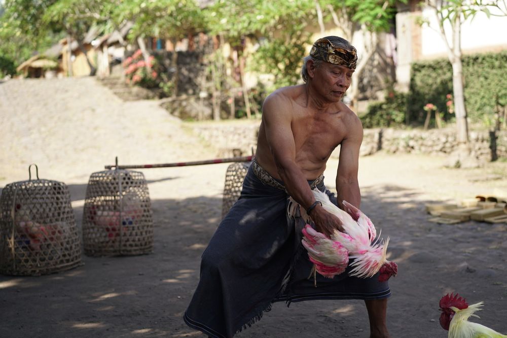 Photograph by Arik S Mintorogo