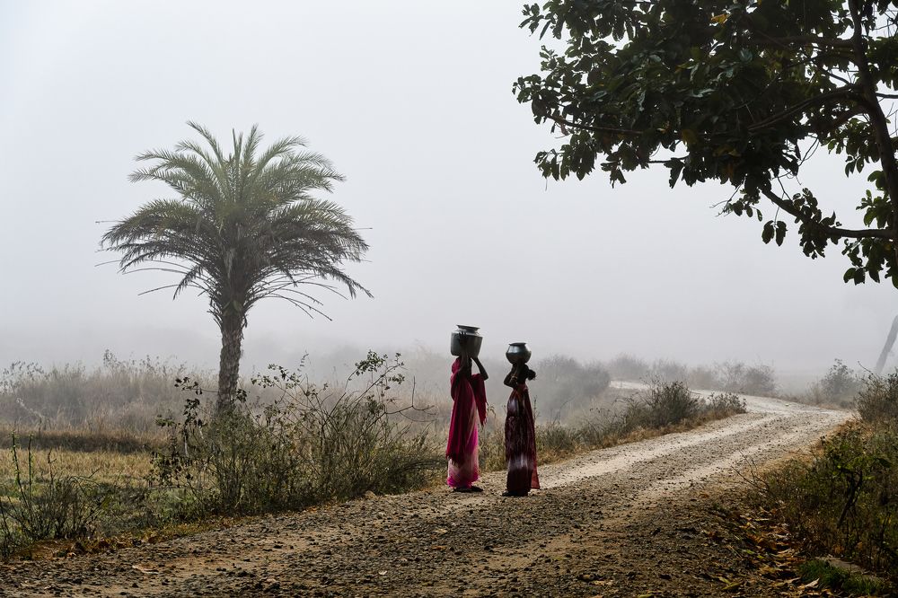 Photograph by Basavaraj M