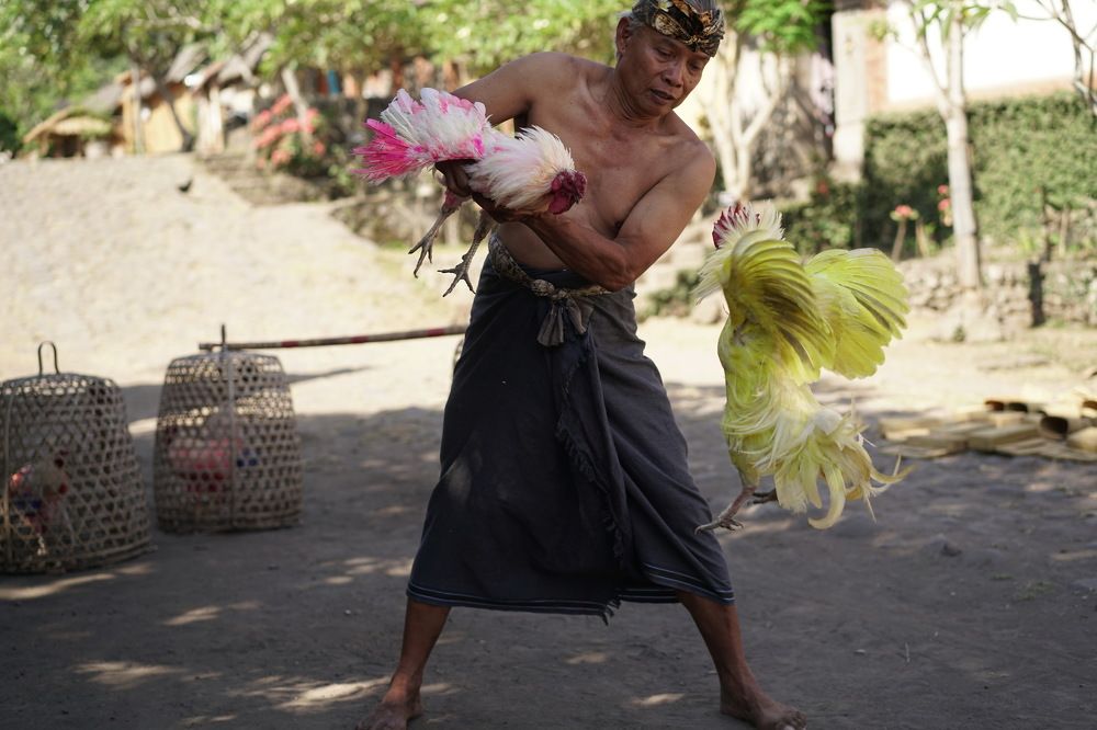 Photograph by Arik S Mintorogo