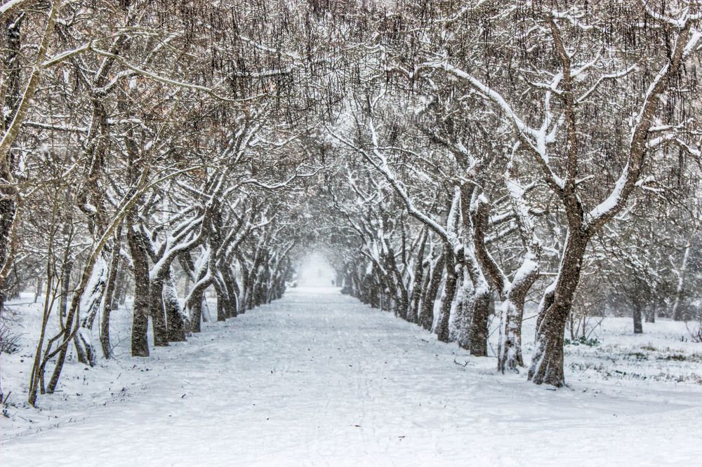 Зима пришла...