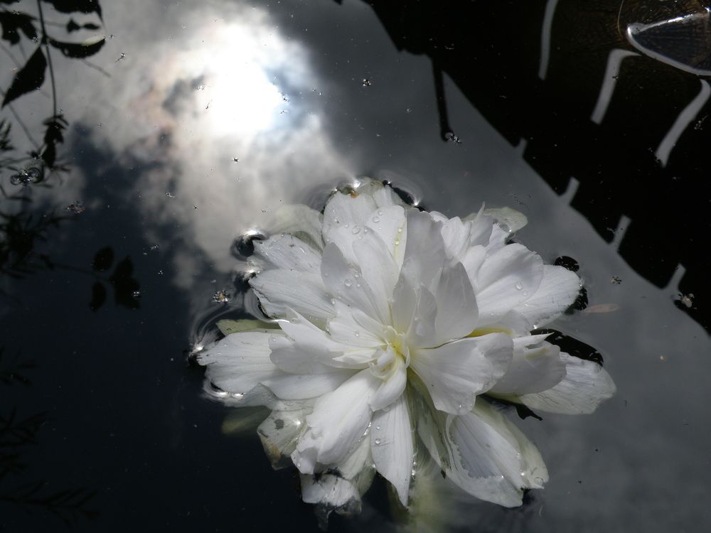 Photograph by Александра Денисова