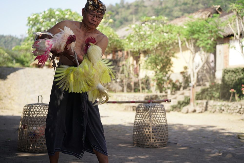 Photograph by Arik S Mintorogo