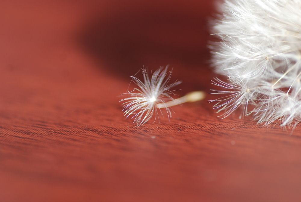 Photograph by Оксана Трофименко