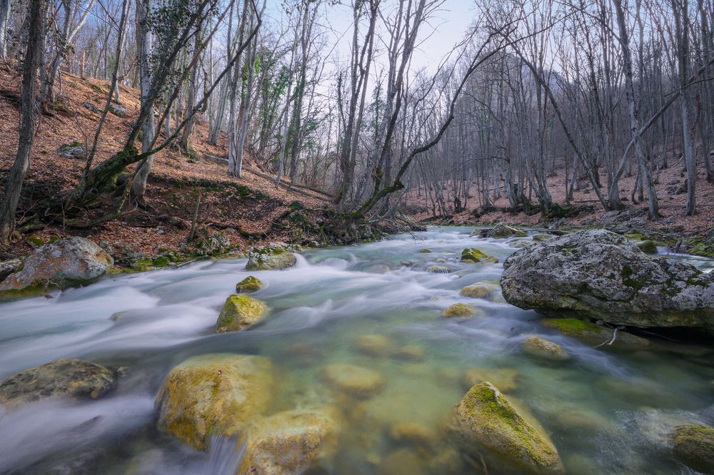 Photograph by Mihail