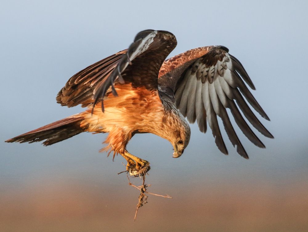 Photograph by Partha Sarkar