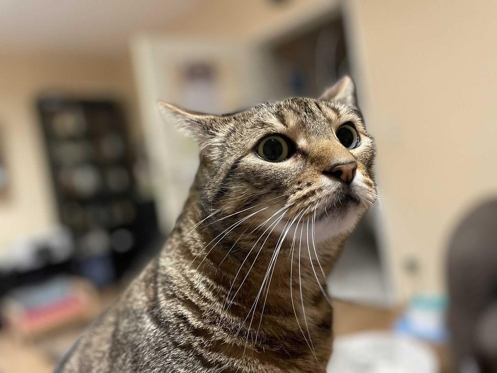 Photograph by Марина Дикманн