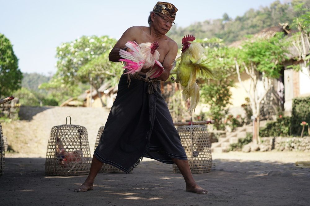 Photograph by Arik S Mintorogo